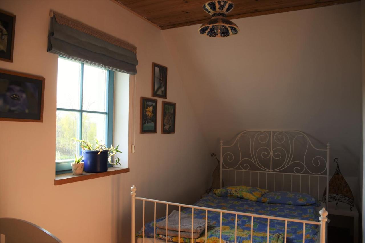 Dom Na Szumiacych Drzew Villa Debina  Buitenkant foto