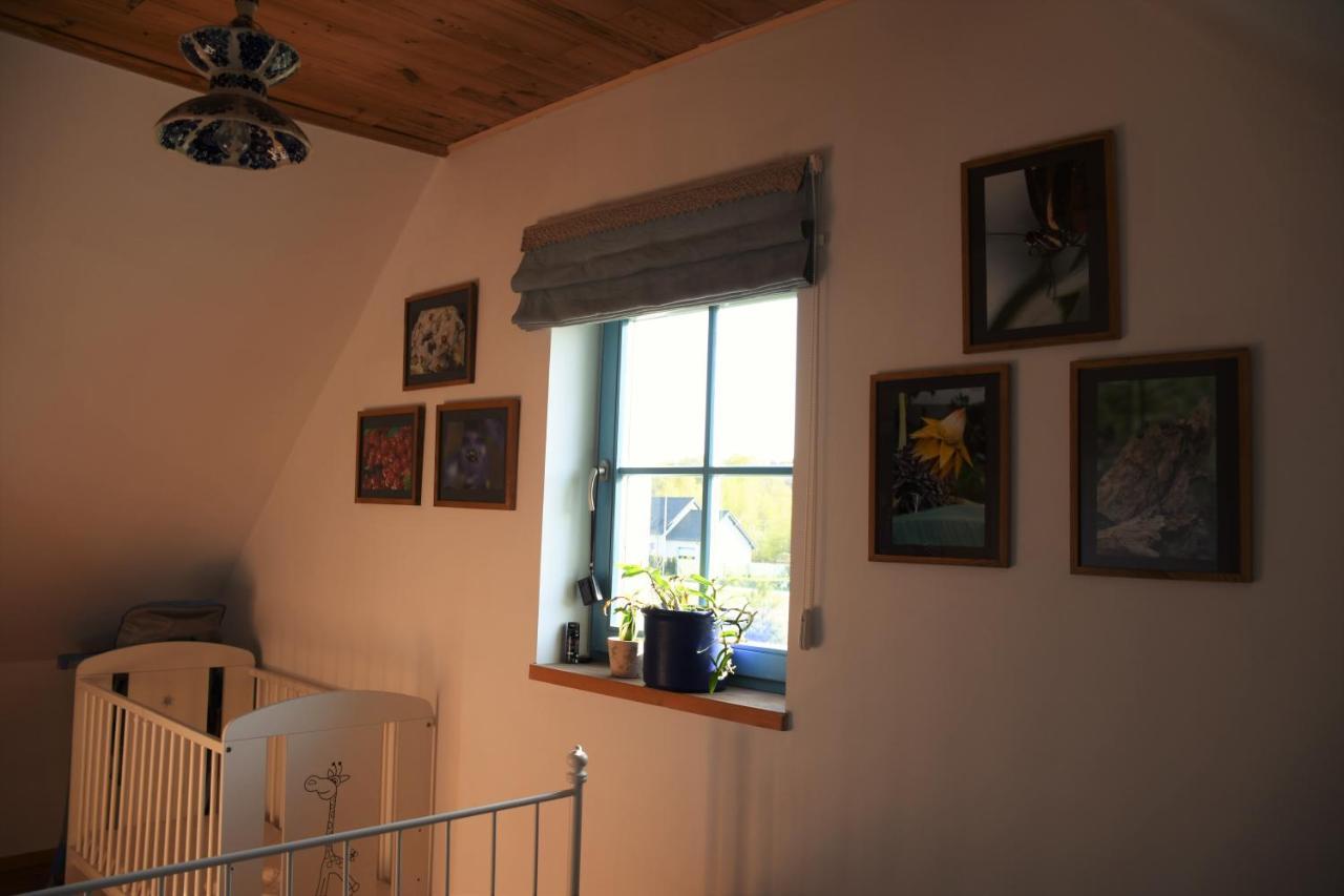 Dom Na Szumiacych Drzew Villa Debina  Buitenkant foto